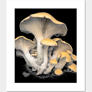 Fall Harvest: Chanterelle Mushrooms on a Dark Background Posters and Art